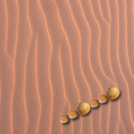 gallery/complete the pattern